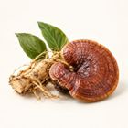 Adaptogene